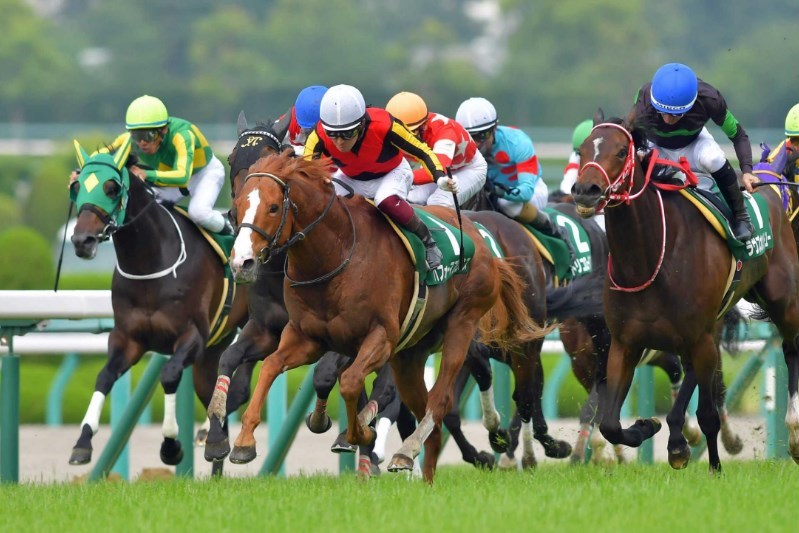 京都大賞典2020予想！パフォーマプロミスを狙う。 | 浅次郎のどんぶり競馬2